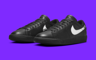 nike-sb-blazer-low-qs-dancer-